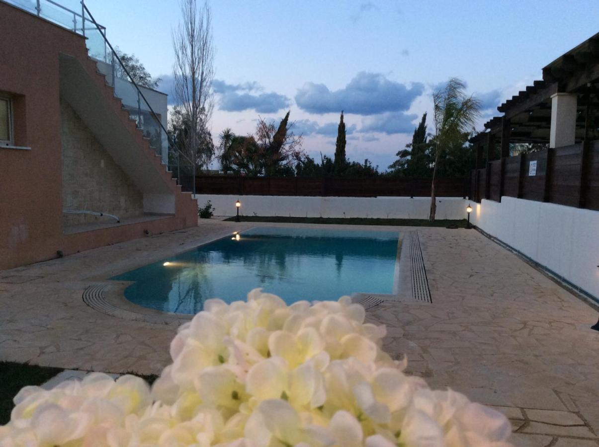 Dream House Latchi Villa Polis 外观 照片